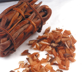 Qué pasa con el alga cochayuyo como alimento