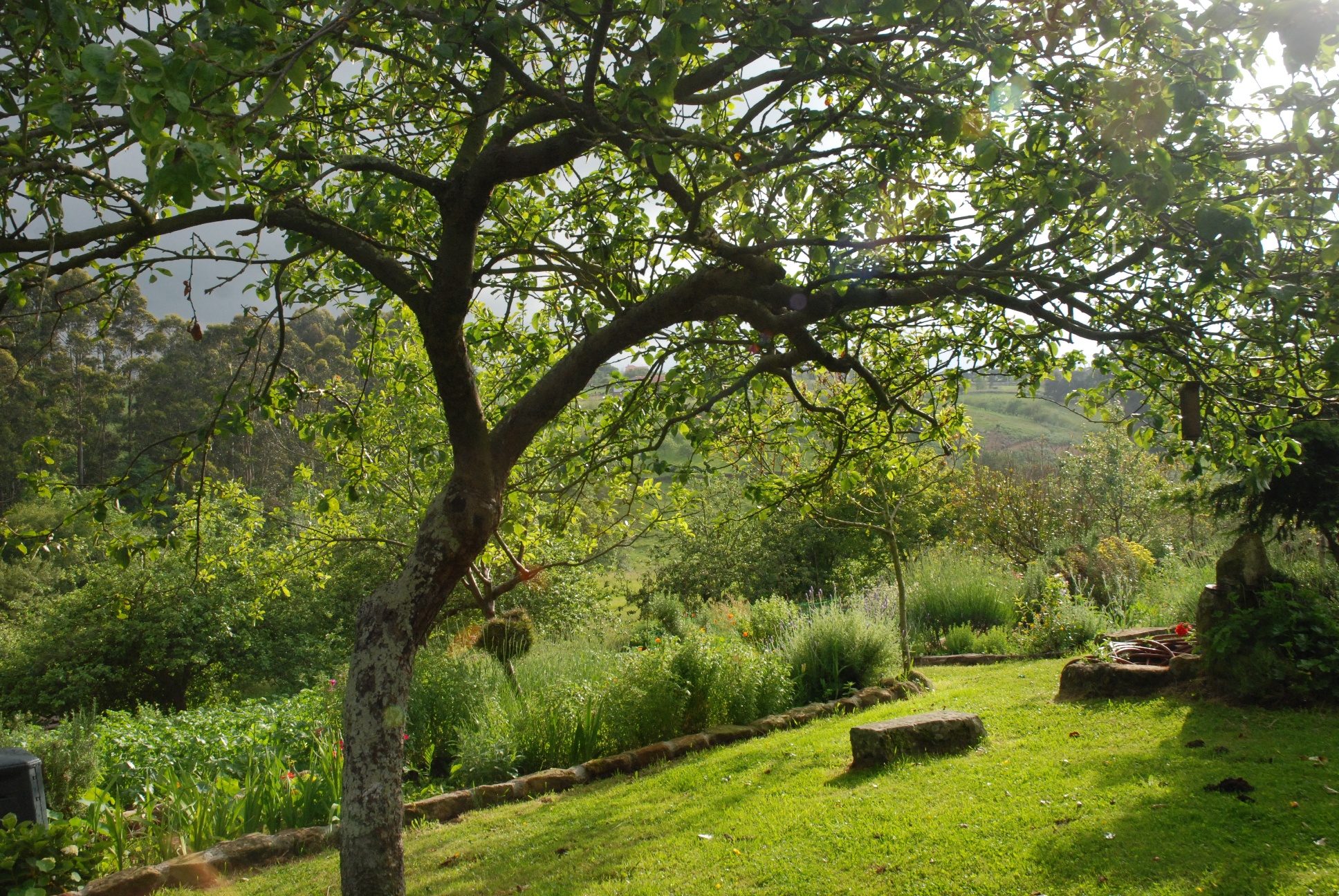 El proyecto de Ecogastronomía Comarca de la Sidra vivirá su primera puesta de largo con motivo de la feria ITB de Berlín del 10 al 14 de marzo