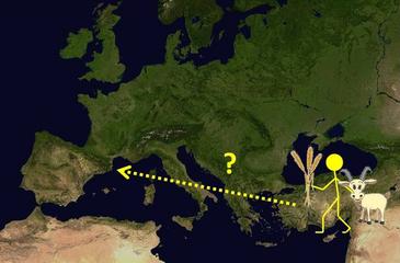 La agricultura llegó a la Península Ibérica mediante colonizaciones pioneras