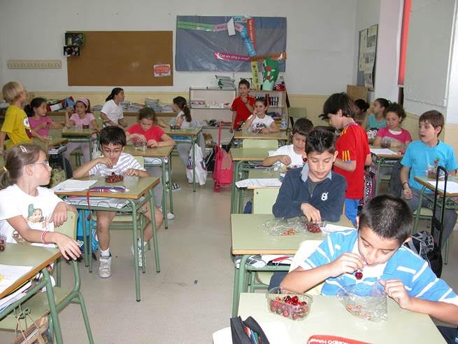 Programa escolar de consumo de frutas y hortalizas en Extremadura