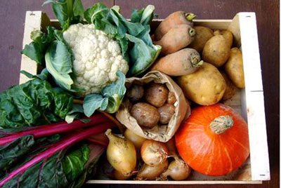 Promoverán alimentos orgánicos peruanos en feria de Alemania