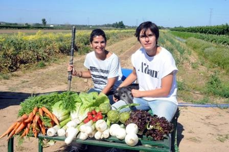 ECOHUERTO cultiva productos ecológicos y vende sus productos a través de Whatsapp(Vea VIDEO)