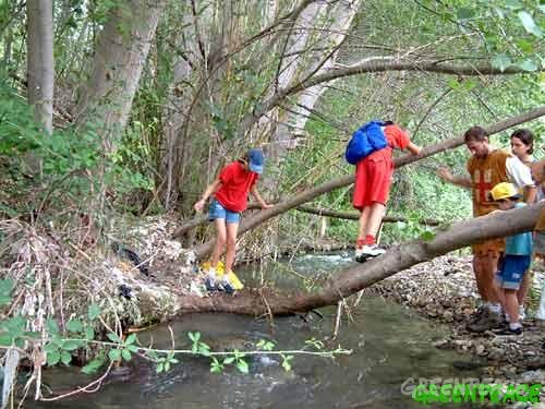 Jóvenes del campamento de Greenpeace piden en Sorbas una alimentación libre de transgénicos