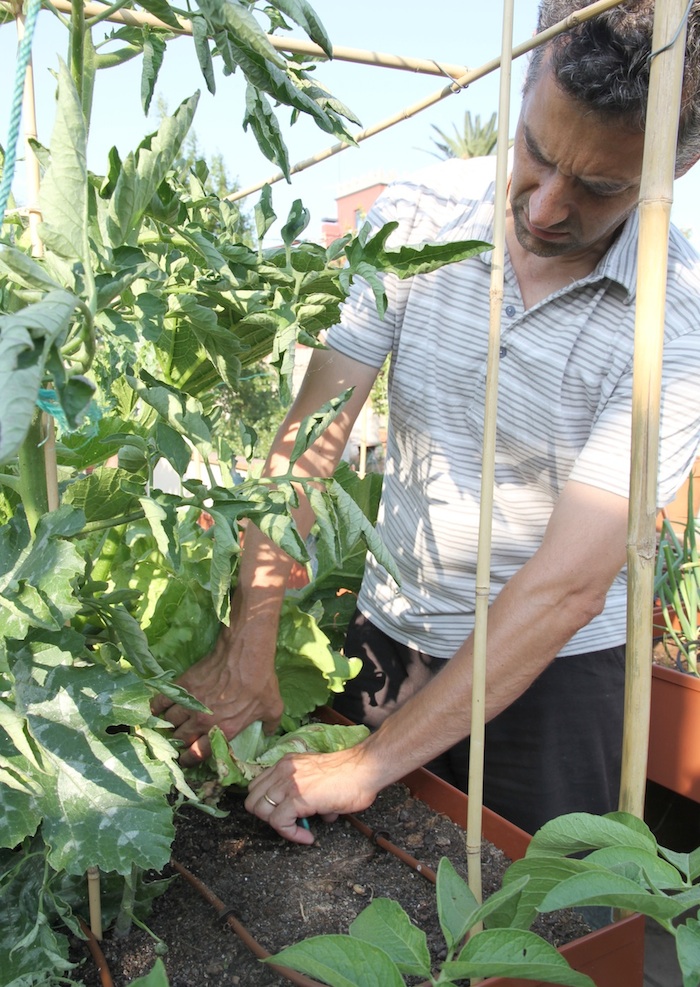 La agricultura urbana mejora la ciudad