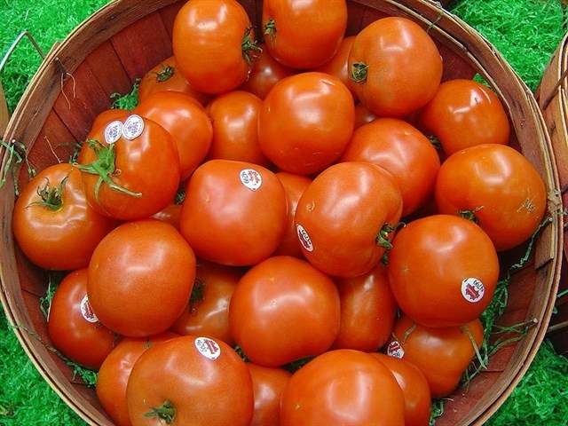 Comer solo un tomate aporta alrededor del 40% del requerimiento diario de vitamina C