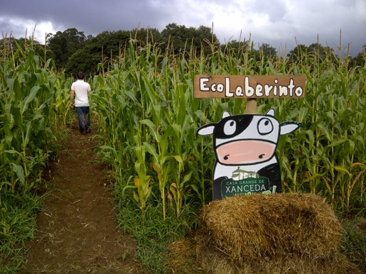 Eco Laberinto de Maíz