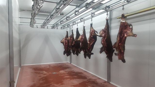 La Diputación de Barcelona abre un centro para vender la carne de caza de jabalí