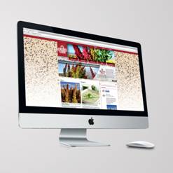 Quinua Real® lanza una nueva página web dirigida al mercado internacional