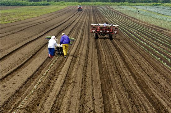 La superficie destinada a agricultura ecológica en España alcanzó 1.674.119 hectáreas durante 2010