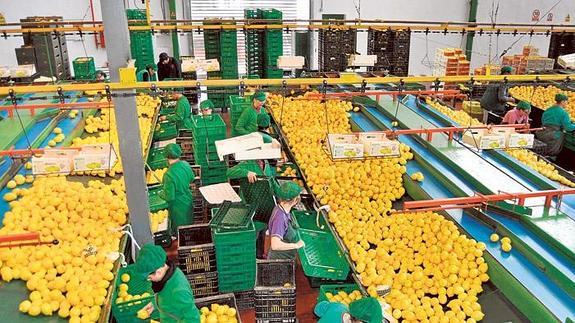 Andalucía anima a las empresas de producción ecológica a innovar