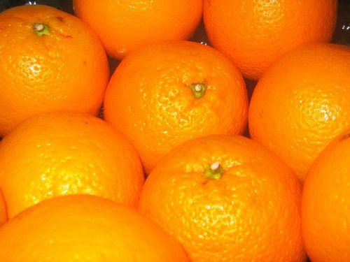 Alternativas verdes para el cultivo de la naranja en la Comunidad Valenciana