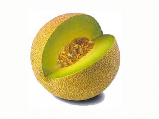 Comienza la temporada del melón ecológico