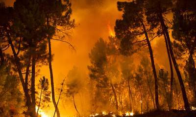 Castilla y León. Un fuego