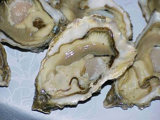 Los falsos mitos en la alimentación