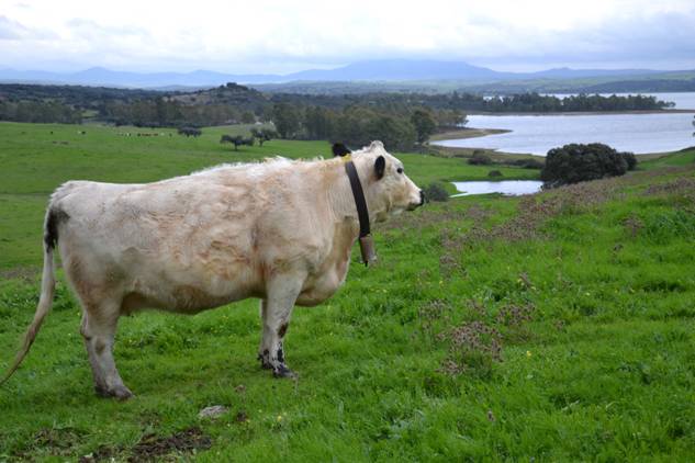 PSOE de Extremadura exige simplificar los trámites a los productores ecológicos