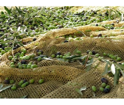 Nuevas ayudas convocadas en Andalucía para la producción ecológica