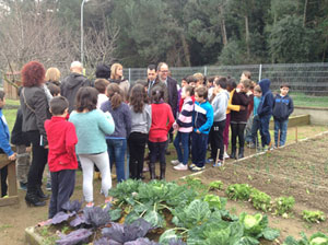 CATALUÑA: Premio Escuela