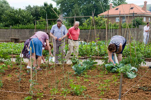 Camargo contará en 2013 con 4.000 m2 más de huertos ecológicos