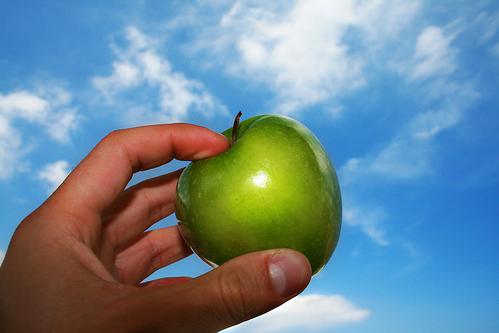 Piden más apoyo del Gobierno a la agricultura ecológica