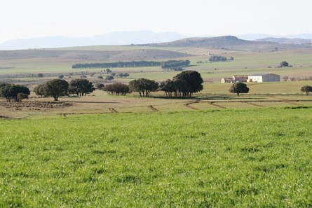 La agroecología como alternativa de desarrollo rural