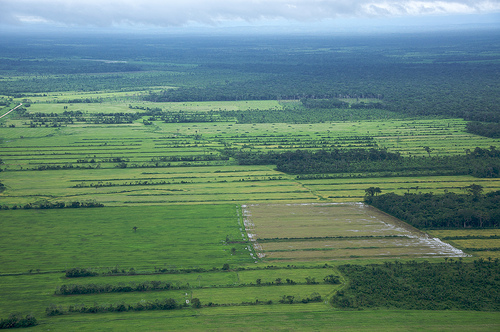 Espinosa destaca que la superficie de agricultura ecológica ha crecido un 21