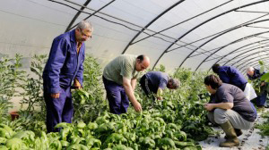 KARABELEKO ETXALDEA Diversidad varietal