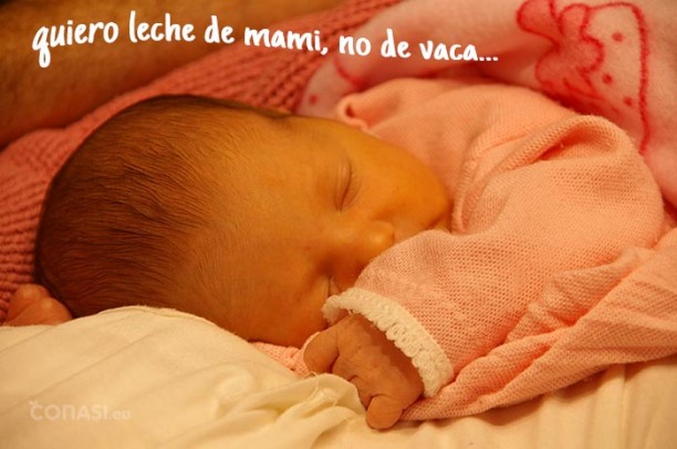 Cuál es la mejor leche para tu bebé