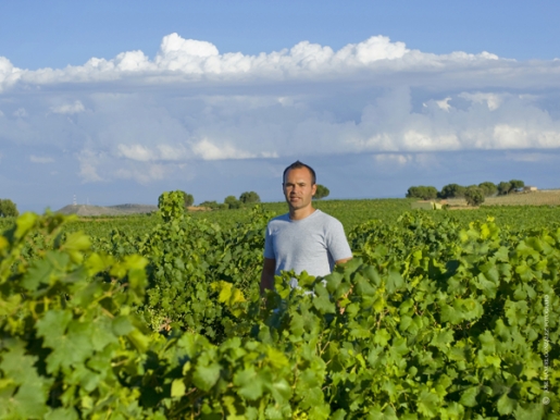 INIESTA Del fútbol al vino bio