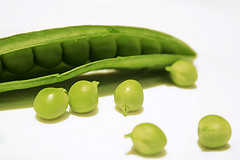 La agricultura ecológica continúa su desarrollo en España