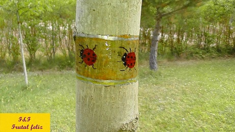 Huertos ecológicos escolares