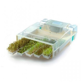 ¡Tu micro-huerto en casa!