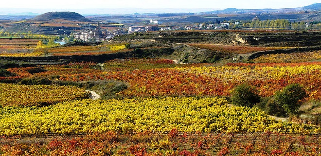 Catalunya se ‘desmelena’ con la producción ecológica