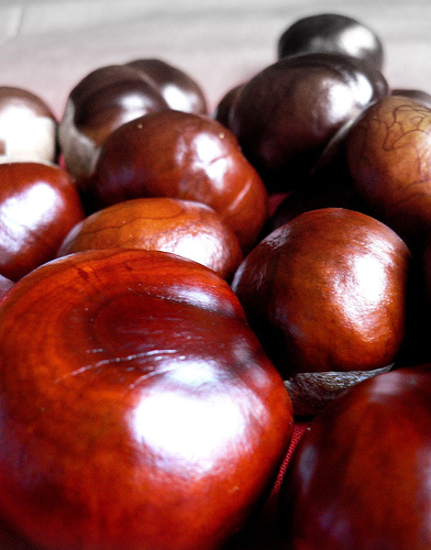 Fiesta de la castaña de Villoria 2009