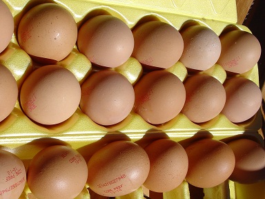 Cocción de huevos ecológica