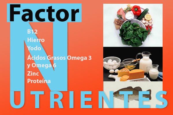 Nutrientes que pueden faltar en la dieta vegetariana