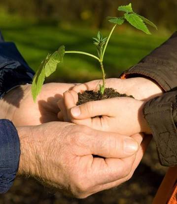 Las respuestas formativas de Ecovalia para ‘Activar el cambio’