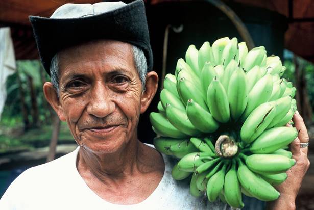 Qué es el comercio justo