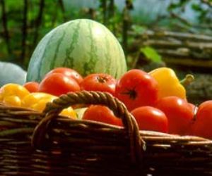 La presidenta de Intereco reivindica el beneficio de los alimentos ecológicos para el medio ambiente y los productores