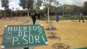 Huertos urbanos que dan de comer y combaten el desempleo
