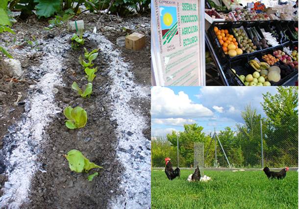 Curso online de ISM de agricultura orgánica