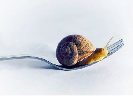 Cocina slow para llegar lejos