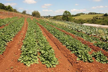 Agricultura apuesta por el turismo de naturaleza e interior