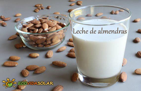 ‘Recetas Ecológicas’: Leche de almendras
