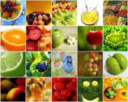 El Ayuntamiento de Muskiz organiza una jornada sobre alimentos transgénicos