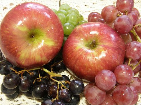 Perú en ferias internacionales de productos orgánicos