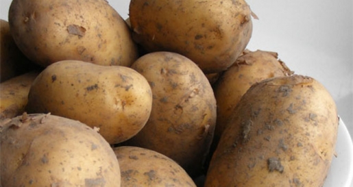 BASF La patata transgénica es ilegal