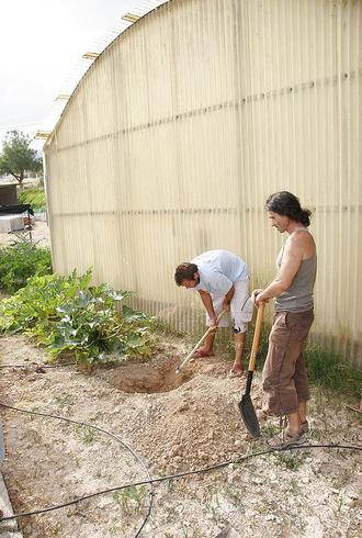 Gracias a la agricultura ecológica se reduce el uso de agua y terreno