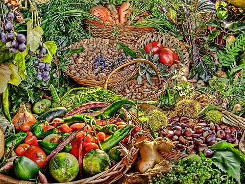 El Gobierno inicia la campaña de promoción de las verduras con 30.000 folletos sobre su calidad