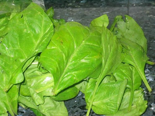 El consumo moderado de espinacas ayuda a reducir la presión arterial