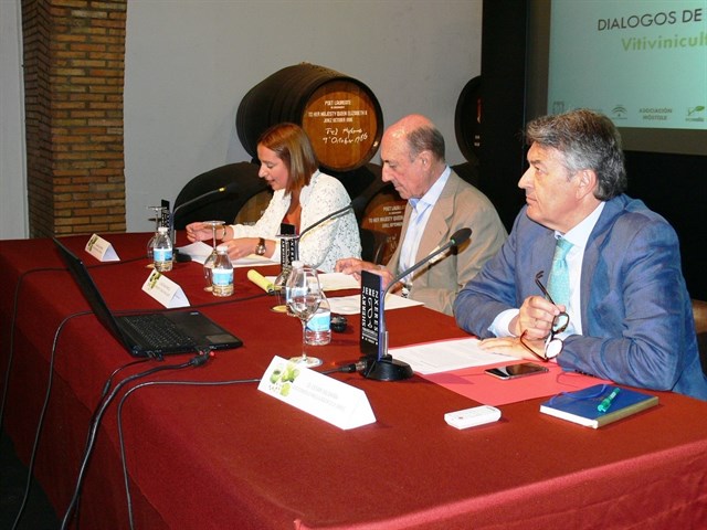 Diputación de Cádiz